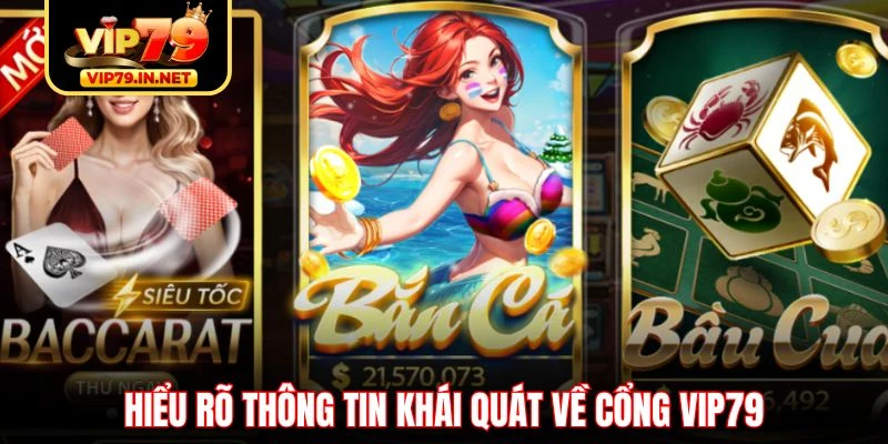 Hiểu rõ thông tin khái quát về cổng VIP79 Hiểu rõ thông tin khái quát về cổng VIP79