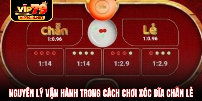 Nguyên lý vận hành trong cách chơi xóc đĩa chẵn lẻ Nguyên lý vận hành trong cách chơi xóc đĩa chẵn lẻ