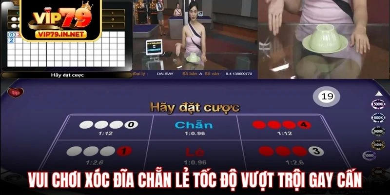 Vui chơi xóc đĩa chẵn lẻ tốc độ vượt trội gay cấn Vui chơi xóc đĩa chẵn lẻ tốc độ vượt trội gay cấn